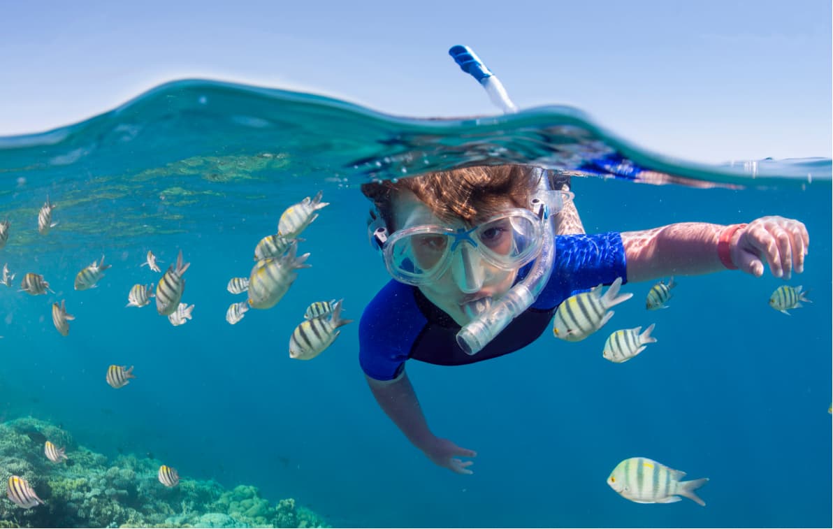 Kid Snorkeling among various fish