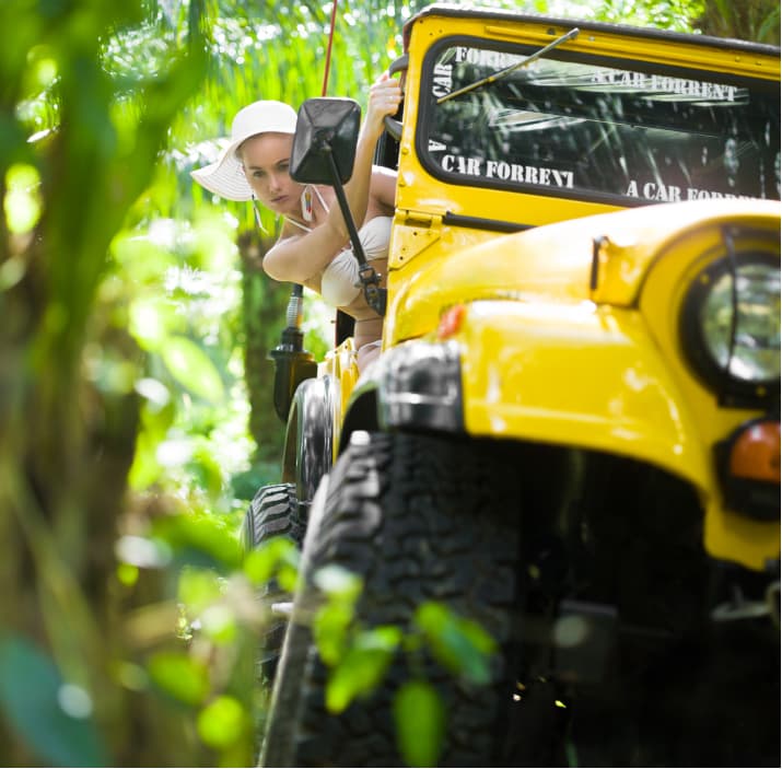 Photo of Jeep driving through the jungle